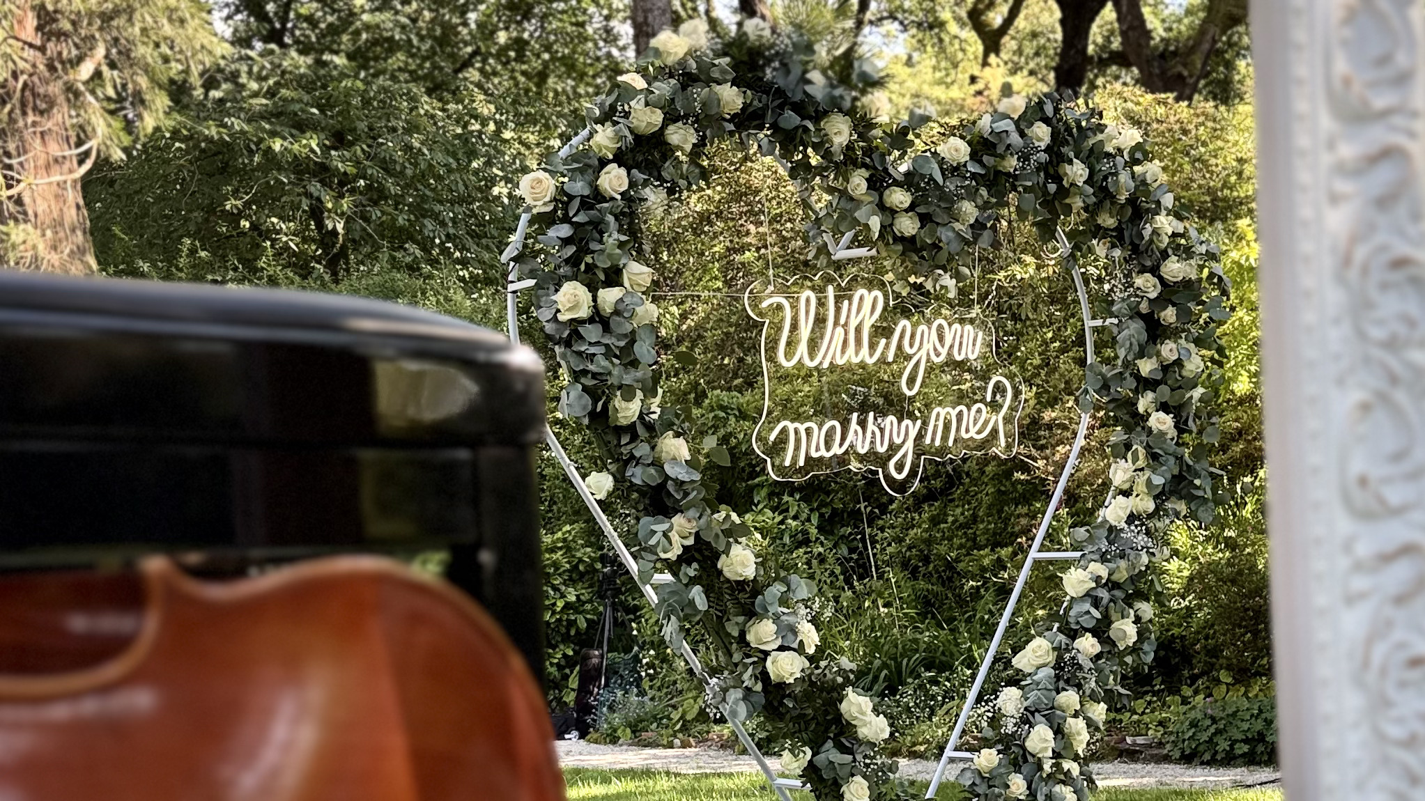 Wedding Proposal