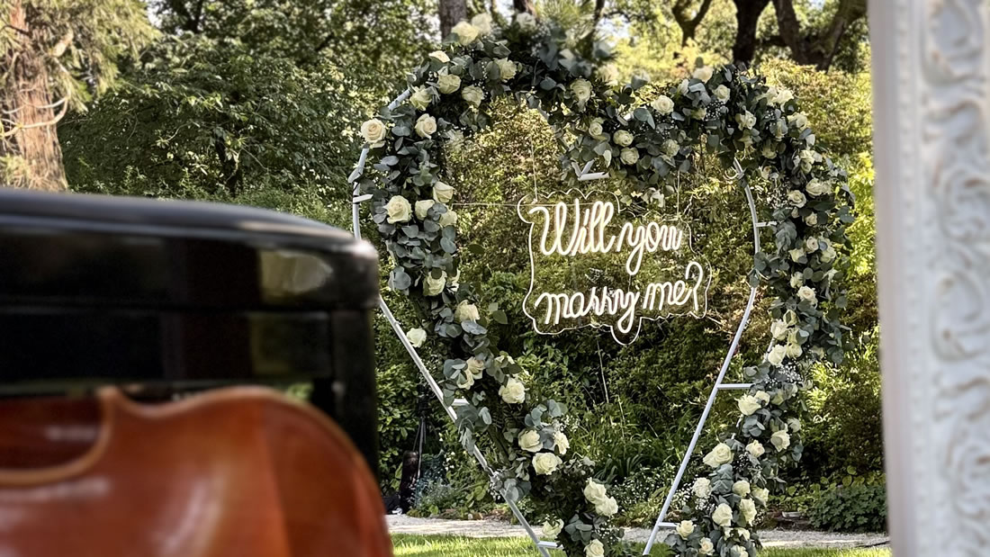 Pedido de Casamento